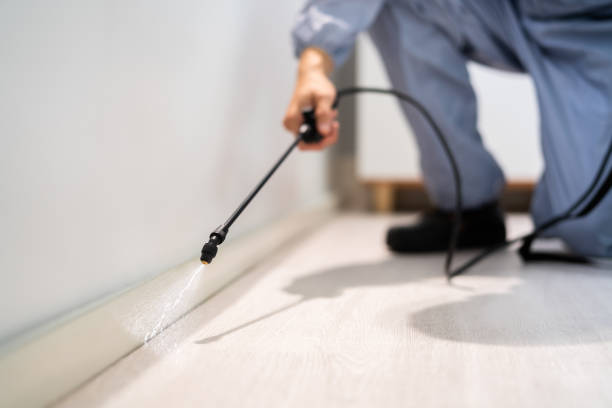 Licensed Cockroach Control service in Resaca, GA - Nex Pest Control