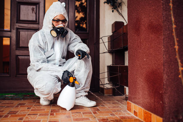 Reliable Cockroach Control contractor in Resaca, GA by Nex Pest Control